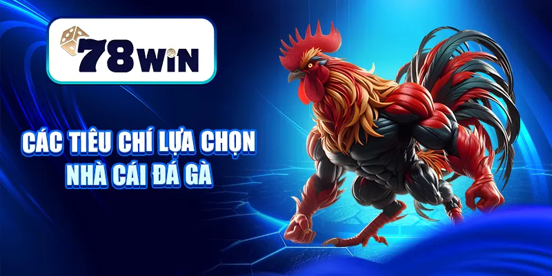 Nhà Cái Đá Gà – Hướng Dẫn Cách Chọn Địa Chỉ Cược Uy Tín 7 Các tiêu chí lựa chọn nhà cái đá gà