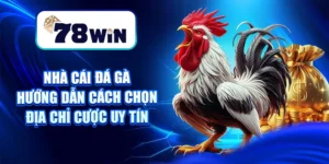 Nhà Cái Đá Gà – Hướng Dẫn Cách Chọn Địa Chỉ Cược Uy Tín