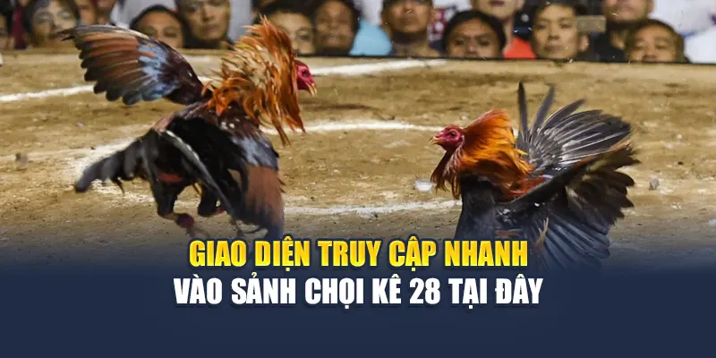 Trải Nghiệm Đặc Sắc Tại Sảnh Đá Gà 28 Hấp Dẫn Của 78WIN 5 Giao diện truy cập nhanh vào sảnh chọi kê 28 tại đây
