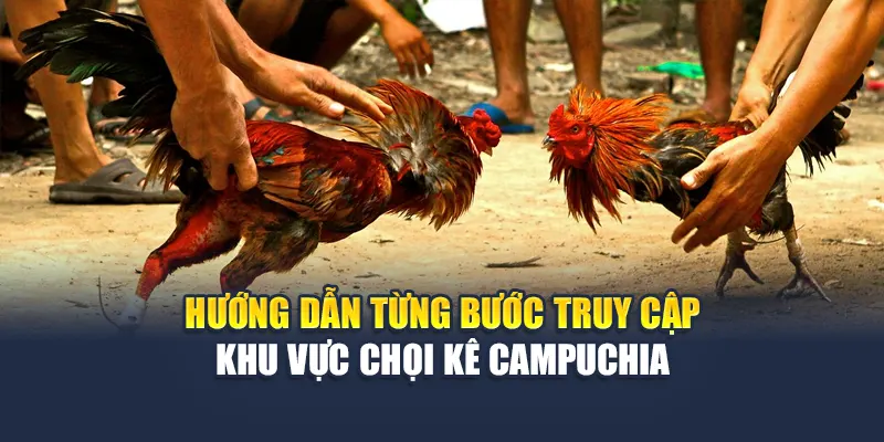Đá Gà Campuchia Thử Thách Mới Lạ Kịch Tính Cho Bạn 7 Hướng dẫn từng bước truy cập khu vực chọi kê Campuchia
