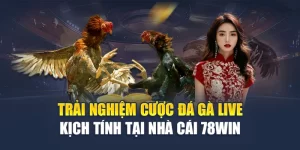 Trải Nghiệm Cược Đá Gà Live Kịch Tính Tại Nhà Cái 78WIN